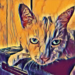 Cat of Colour-PSP_Retro