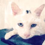 FotoSketcher image